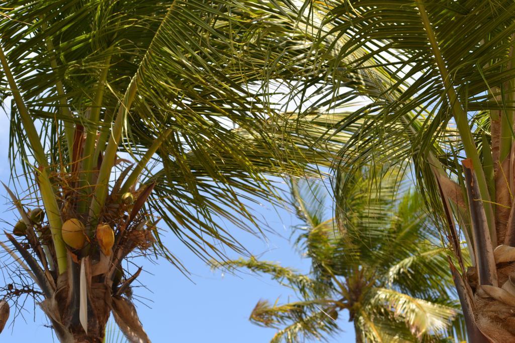 Altona Lindbergh Bay Hotel מראה חיצוני תמונה